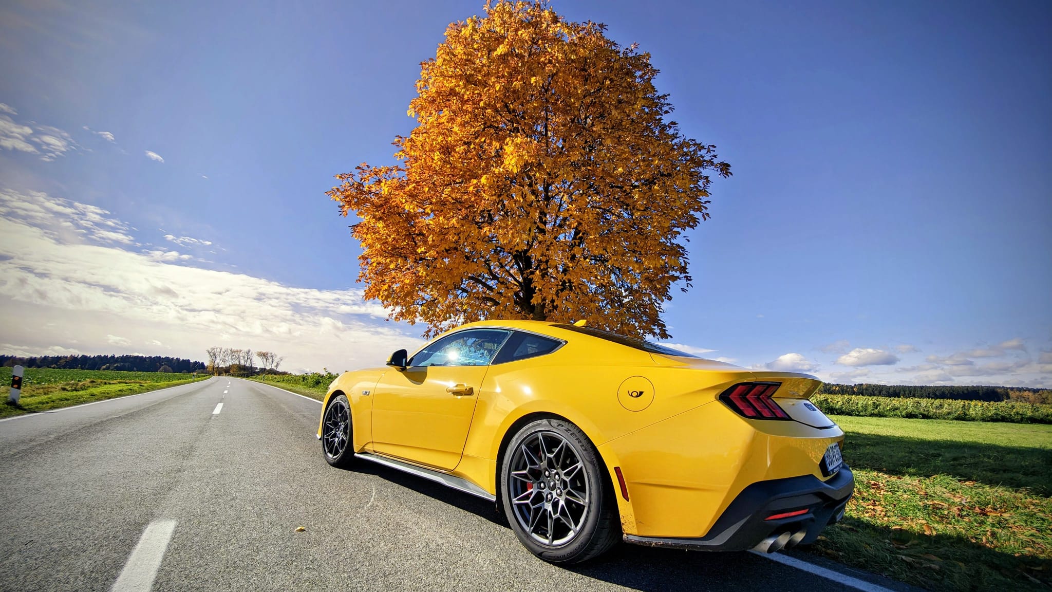 WhatsApp Image 2026-01-16 at 15.57.07.jpeg