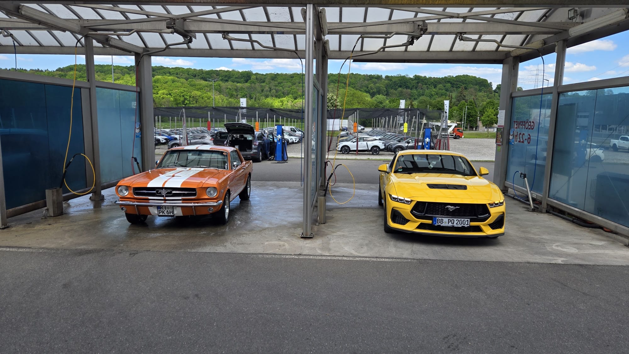 WhatsApp Image 2026-01-16 at 15.56.09.jpeg