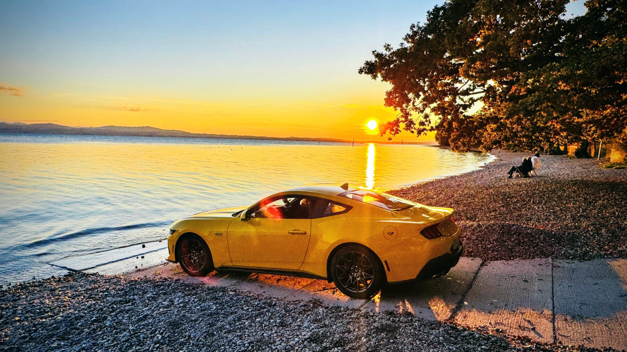 WhatsApp Image 2026-01-16 at 15.55.42.jpeg