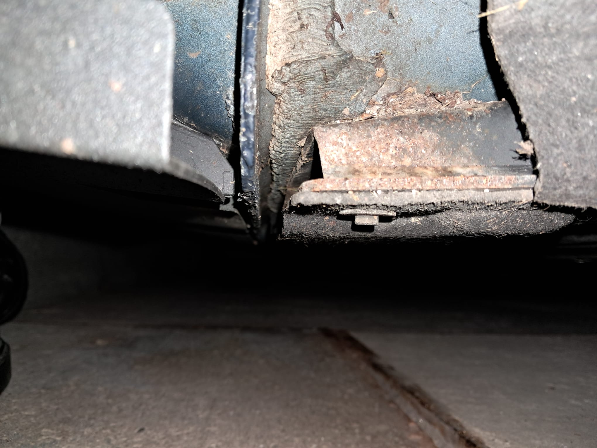 WhatsApp Image 2026-02-10 at 20.56.08.jpeg