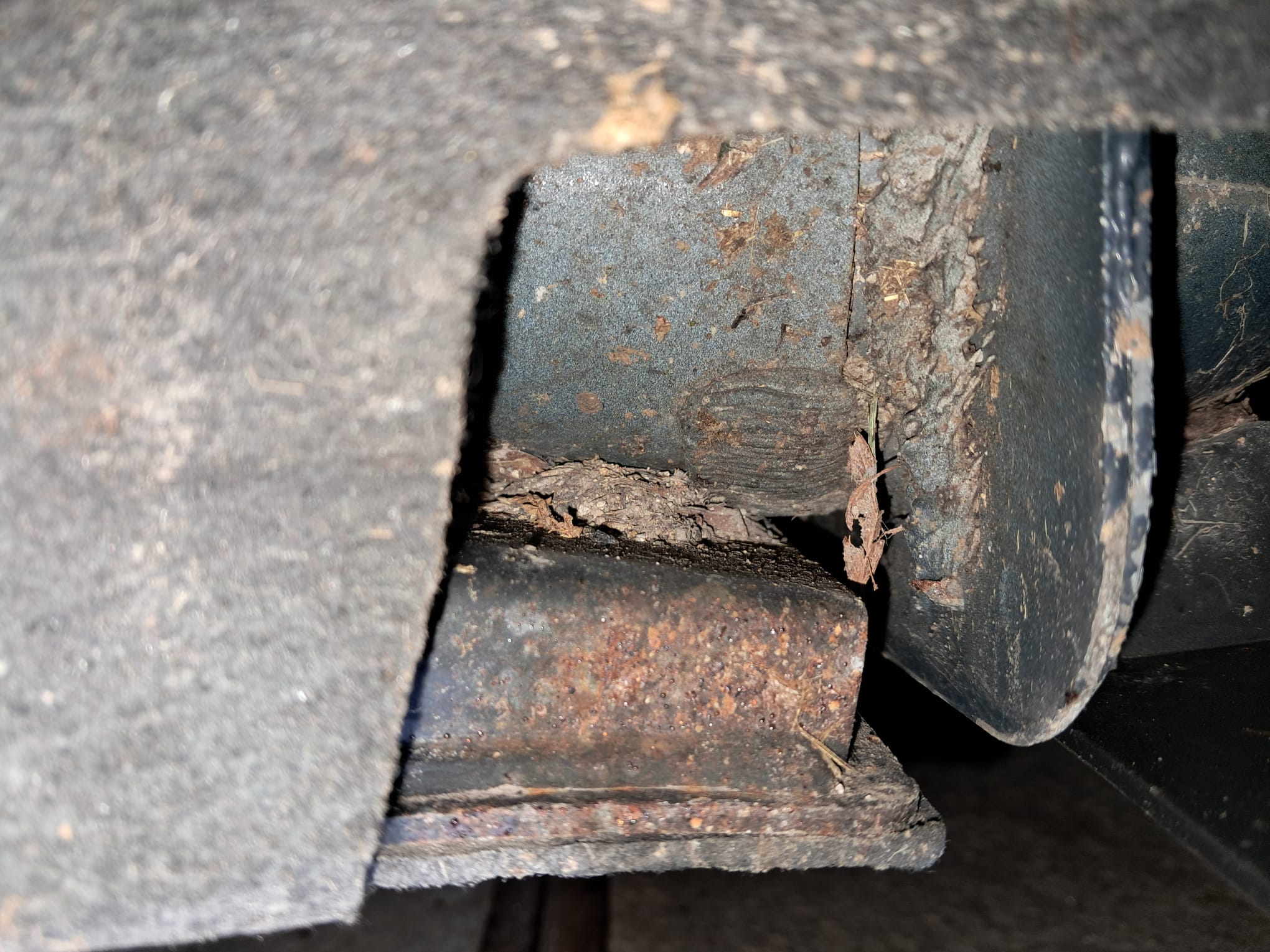 WhatsApp Image 2026-02-10 at 20.56.07.jpeg