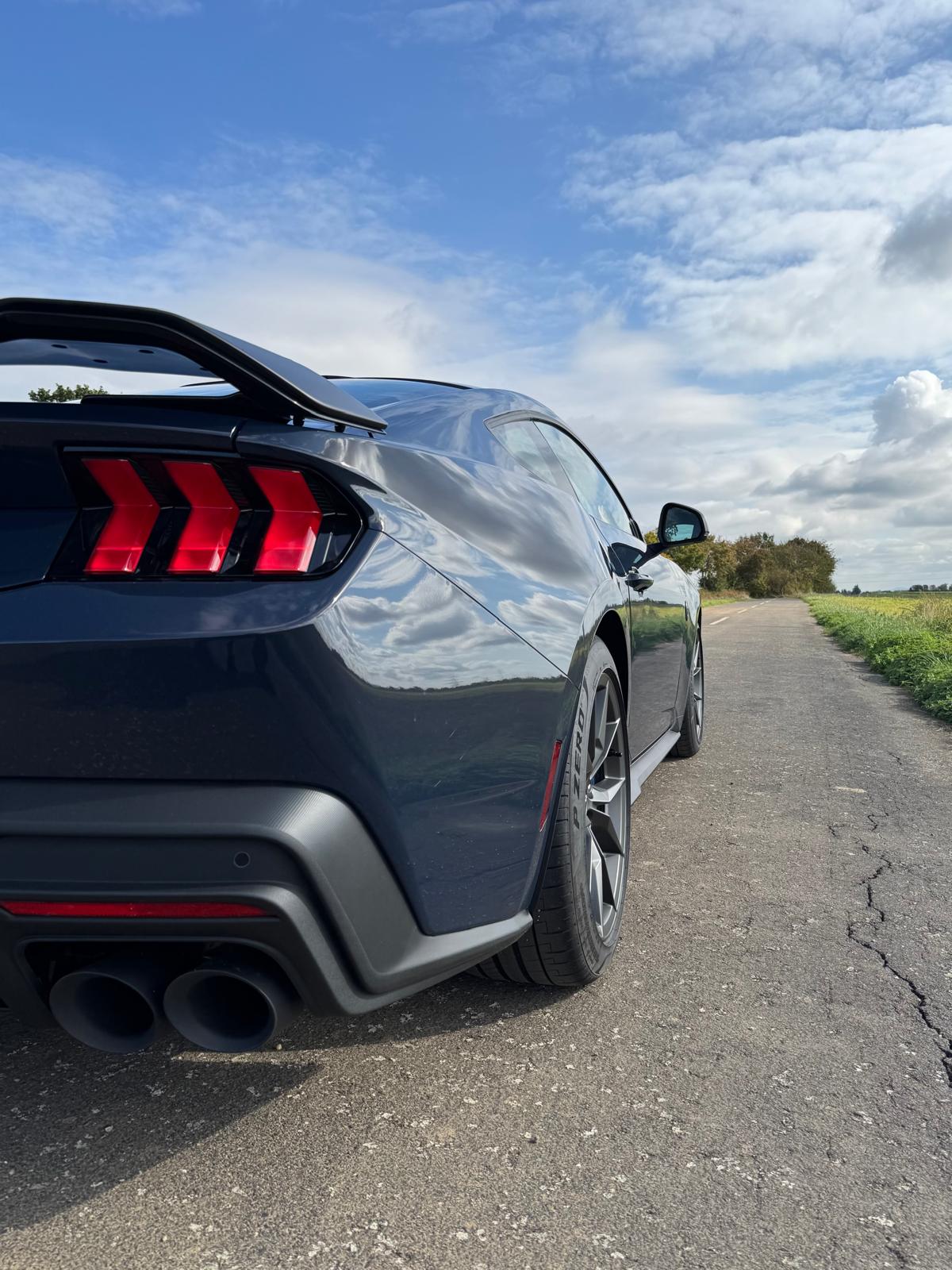 MustangDH.jpg