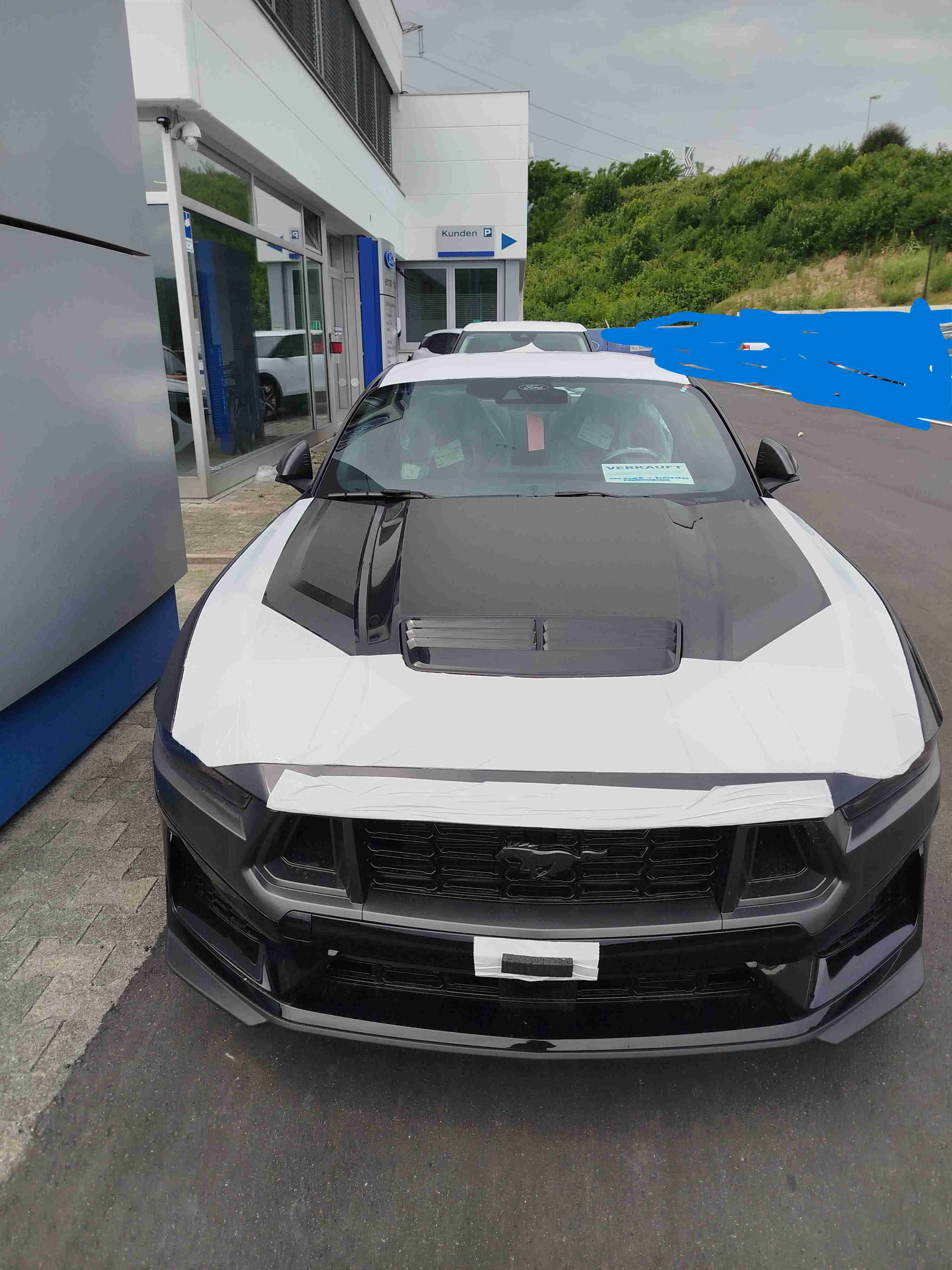 Mustang 1.jpg