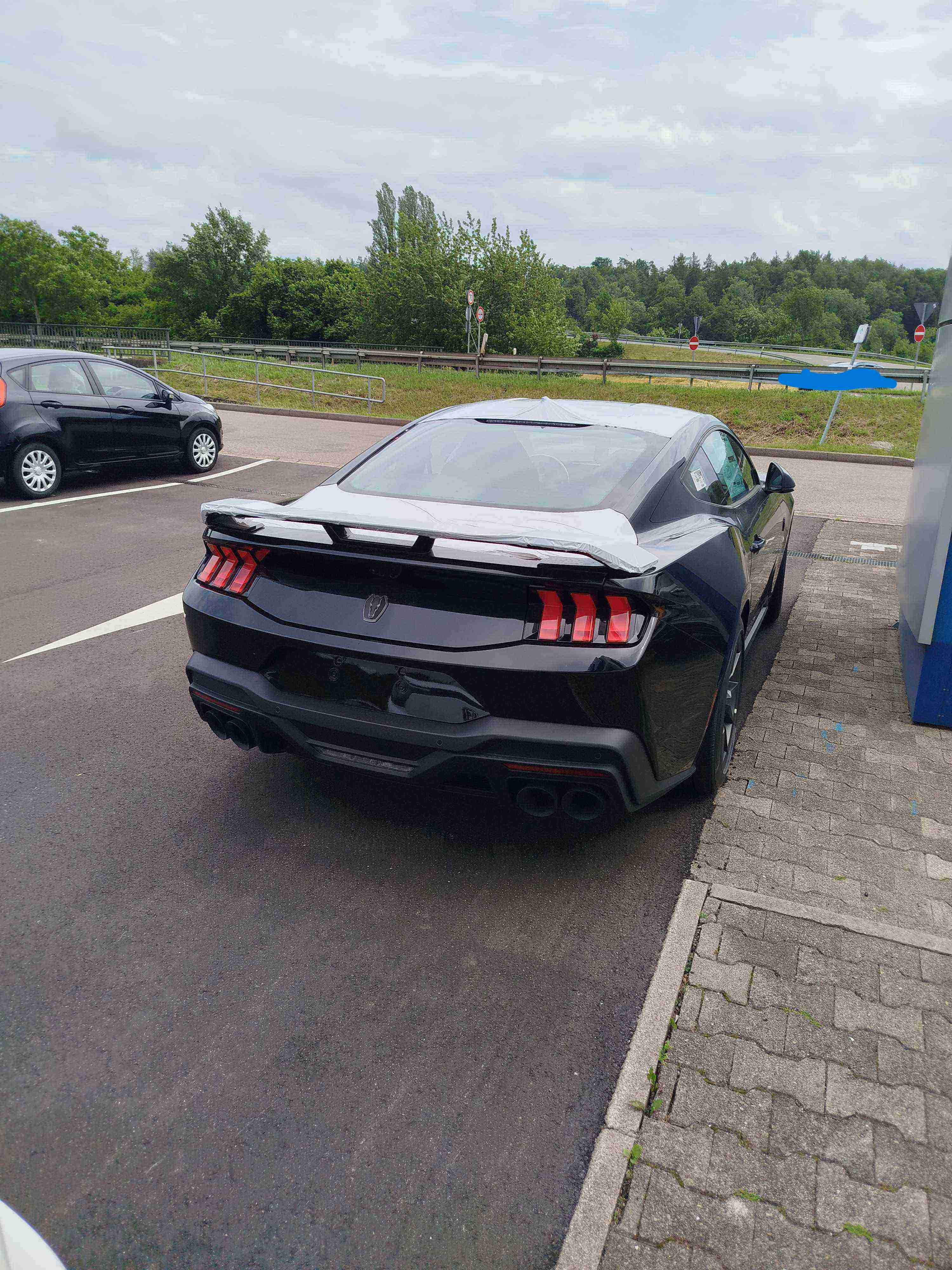 Mustang 2.jpg