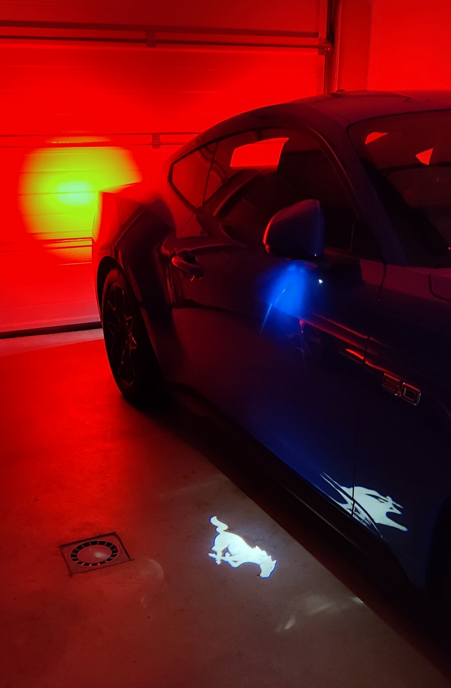 Pony in the Disco.jpg