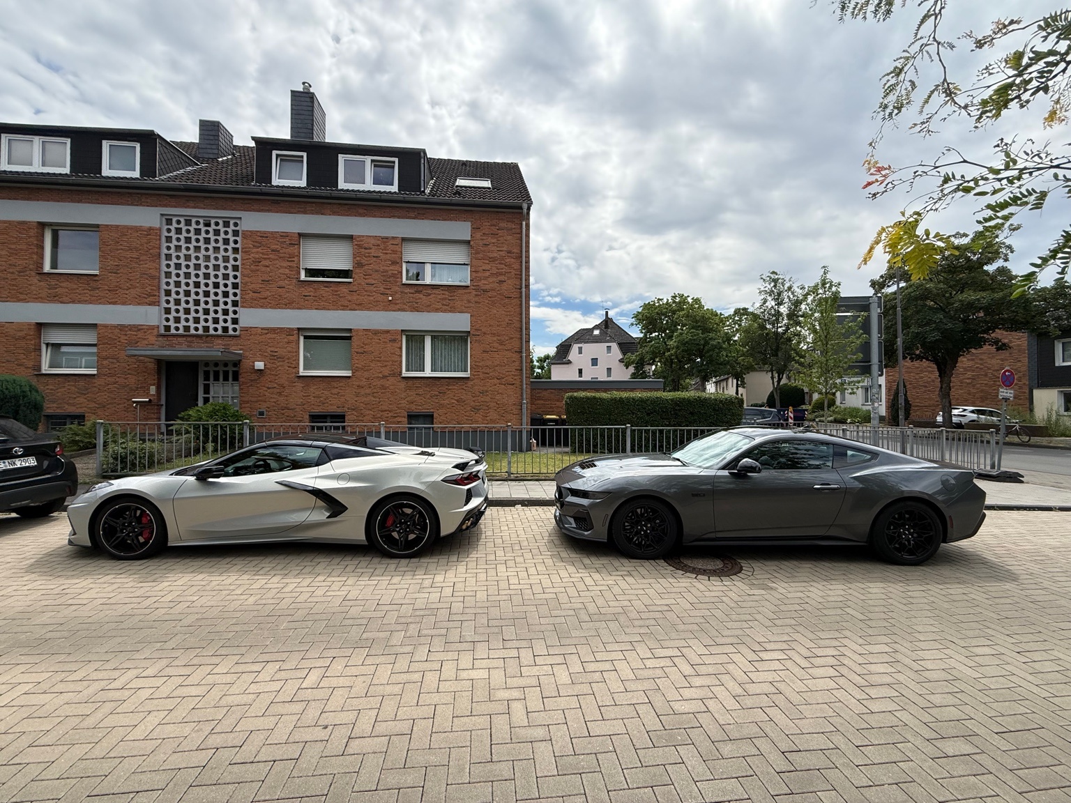 IMG_4785.jpeg