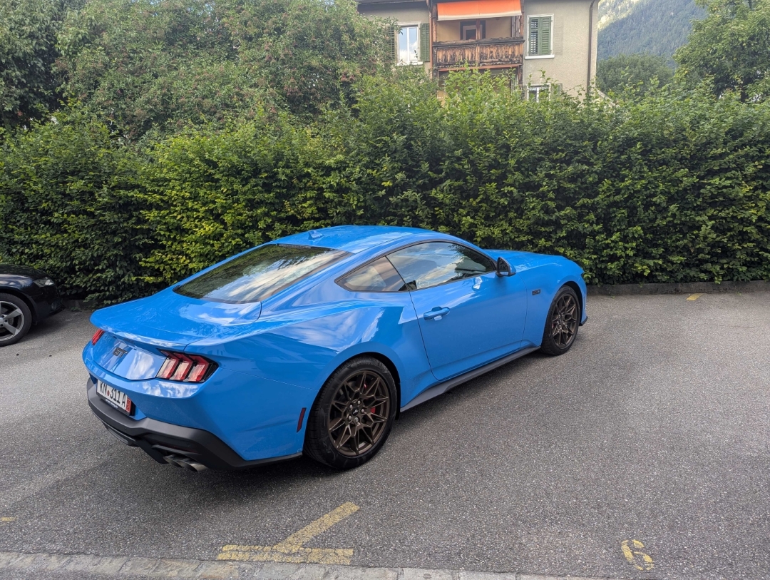 Mustang1.jpg