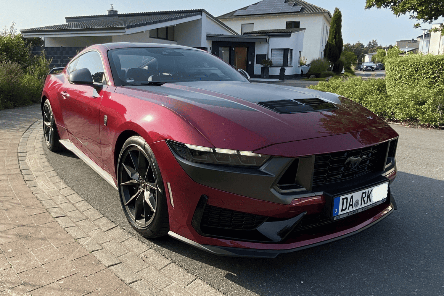 Dark_Horse_Molten_Magenta_1.png