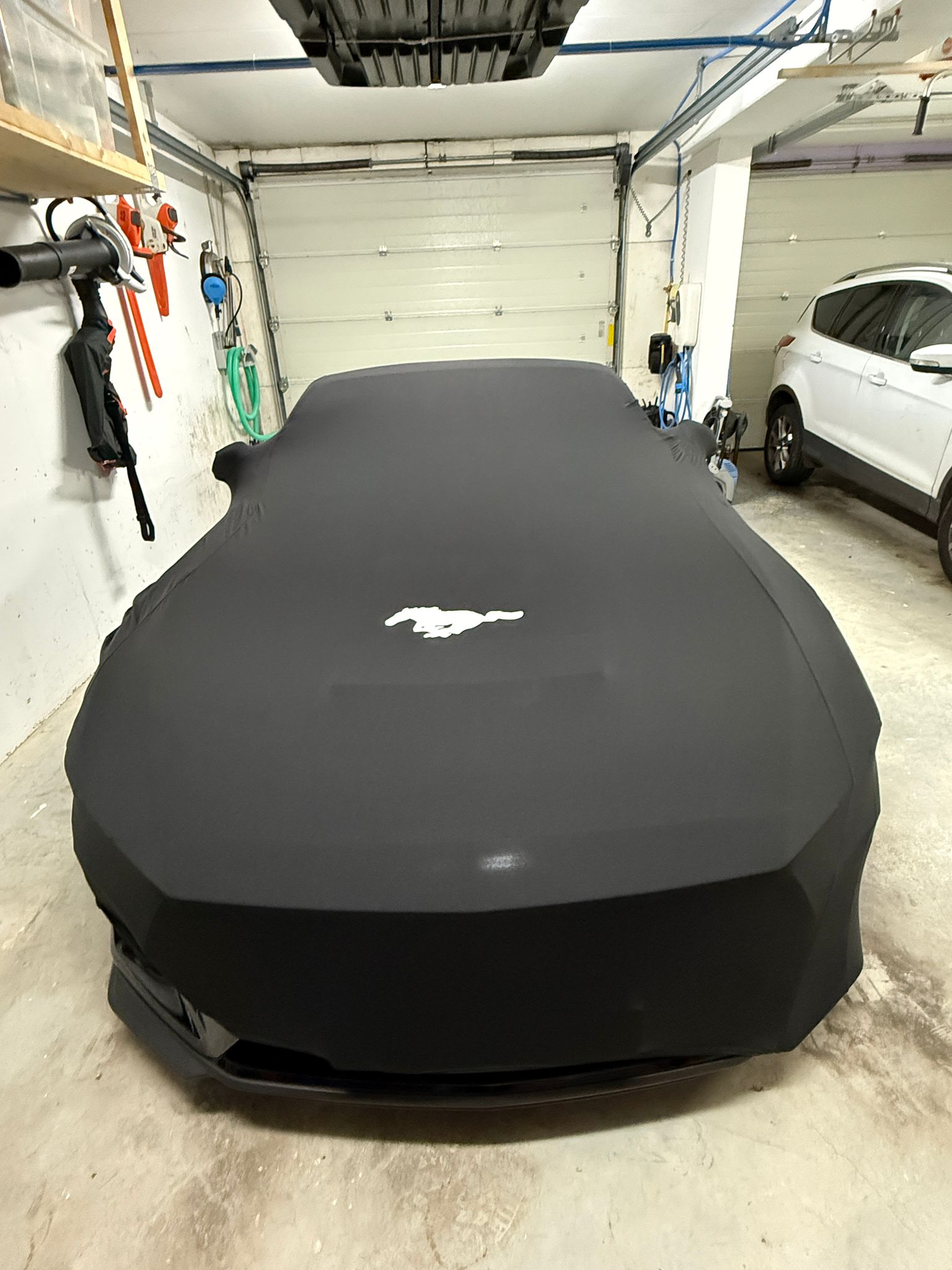 Mustang Abdeckung.jpg